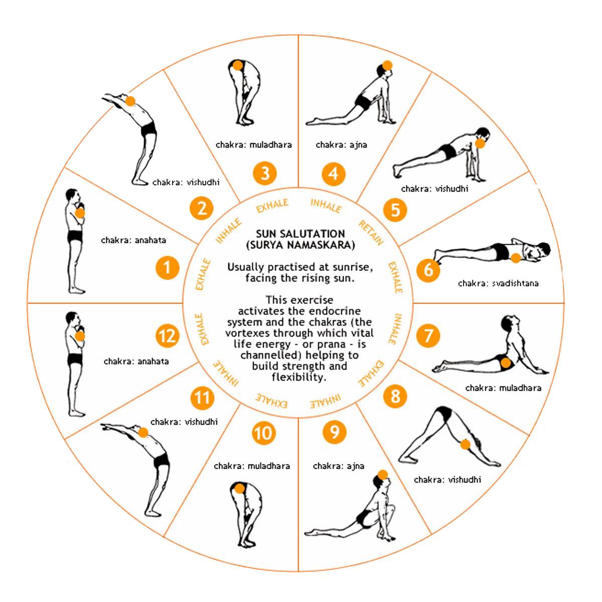 Surya Namaskar